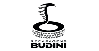 RECAPAGENS BUDINI LTDA Pneus